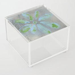 recycled wood daisy  Acrylic Box