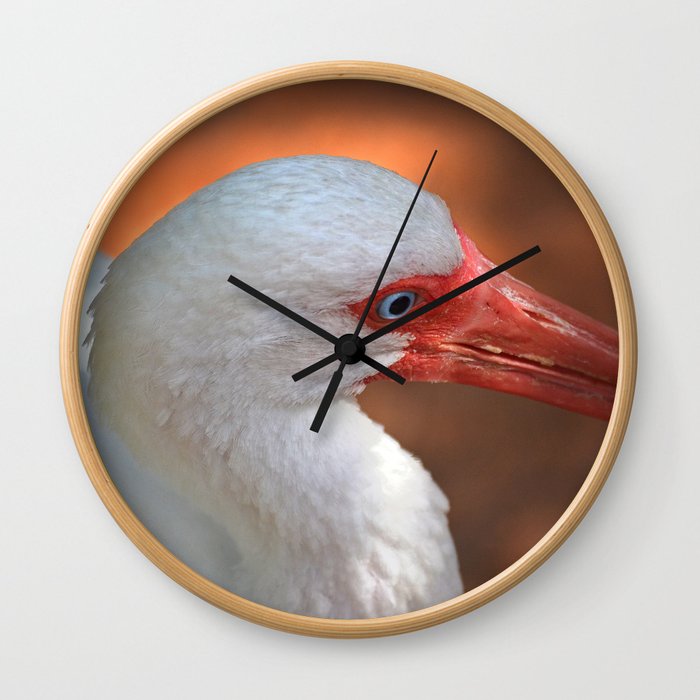 White Ibis - Grand Cayman Wall Clock