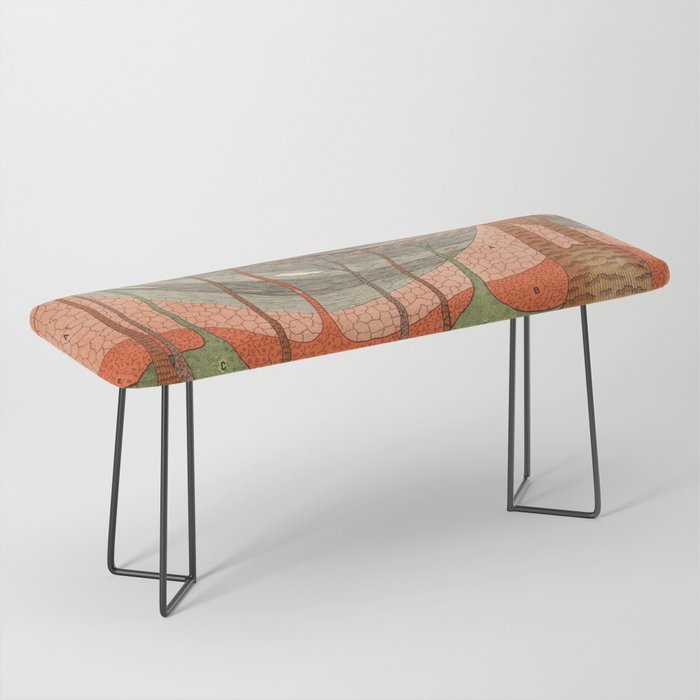 Geology Chart Bench by Blue Specs Studio Society6