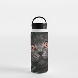 Orange Eyes British Shorthair Cat Water Bottle