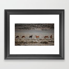 Wild Horses 1 Framed Art Print