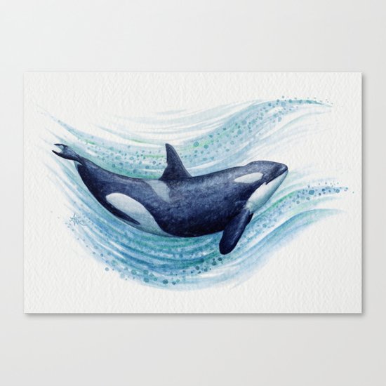 "Orca Spash" by Amber Marine ~ Watercolor Killer Whale Painting, (c) 2016 Canvas Print