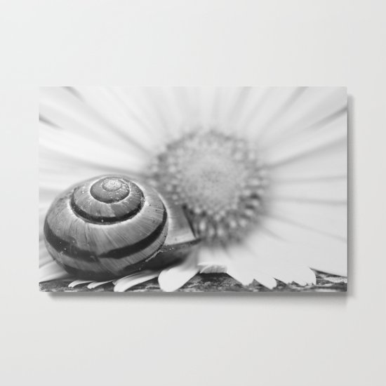 The snail on the flower Metal Print