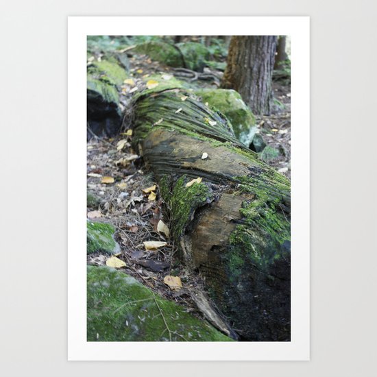 The Twisted Tree Art Print