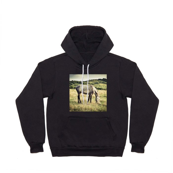 Arabian purebred grey young horse pasture in the countryside at golden hour Hoody