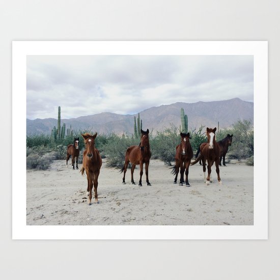 Bahía de los Ángeles Wild Horses Art Print