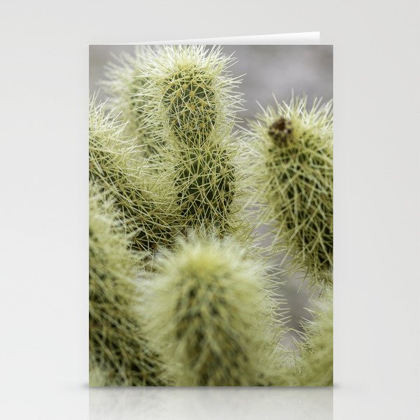 Yellow Cactus Up Close Stationery Cards