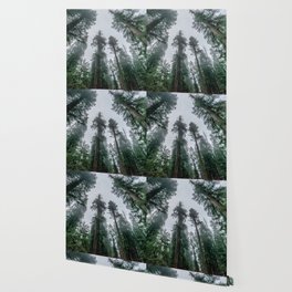 Pacific Northwest Wallpaper For Any Decor Style Society6 Free pacific northwest wallpapers and pacific northwest backgrounds for your computer desktop. society6