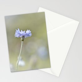 Standing and Counted Stationery Cards