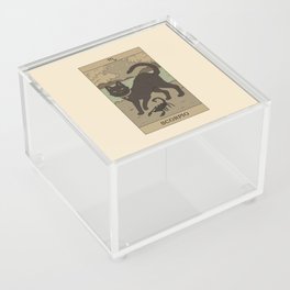Scorpio Cat Acrylic Box