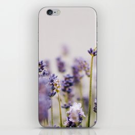 Lavender Close-up | Nature photography iPhone Skin