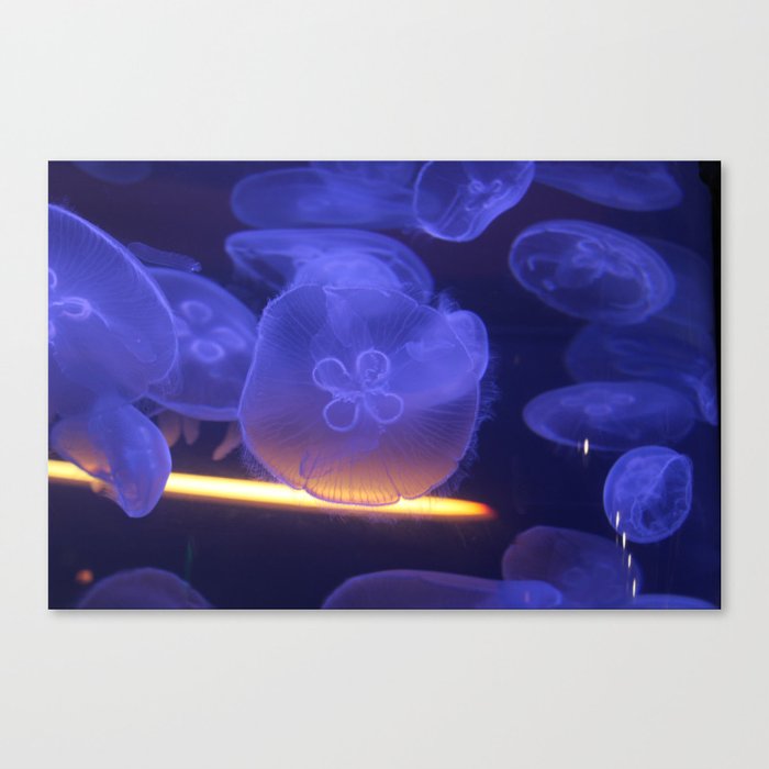 Purple Jellyfish Canvas Print
