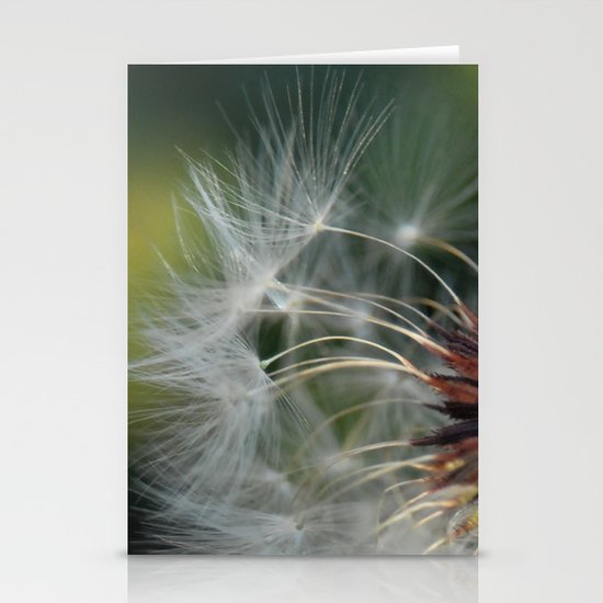 Delicate Stationery Cards