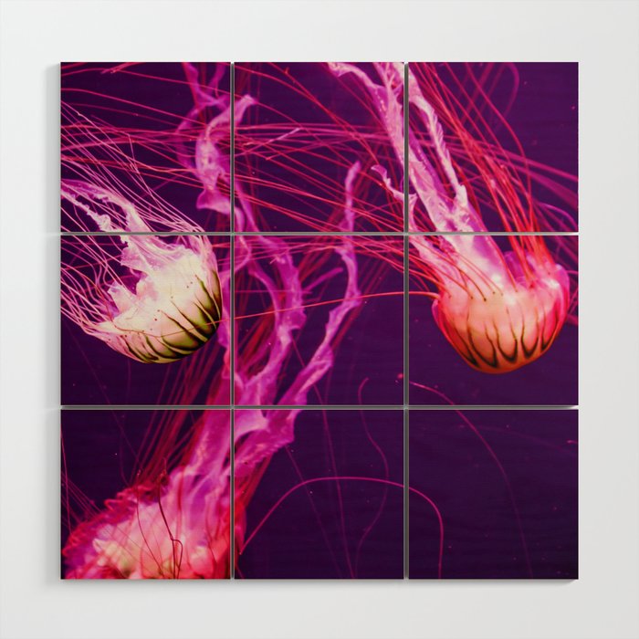 Floating Jellyfishes 4 Wood Wall Art