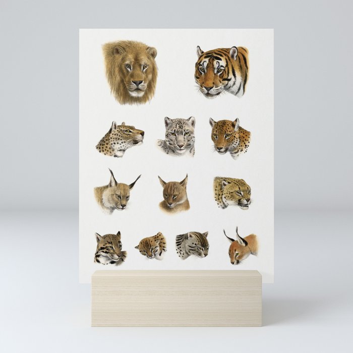 Wild animal, safari lithograph, The Great and Small Game of India Mini Art Print