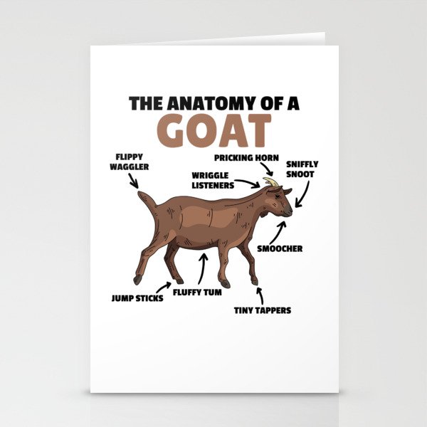 Anatomy Of A Goat Cute Goats Explanation Stationery Cards