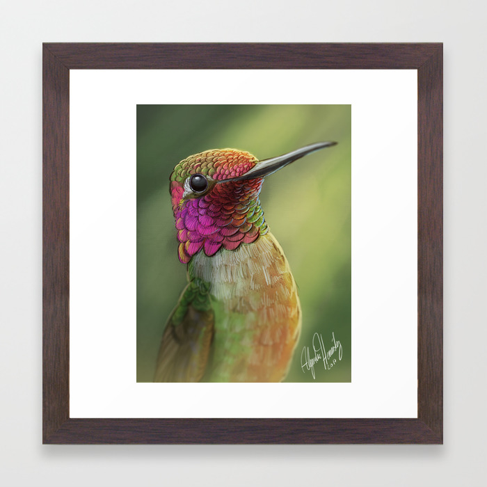 Hummingbird Framed Art Print By Alejandrohernandezart Society6