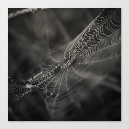 Early morning's magic II Canvas Print