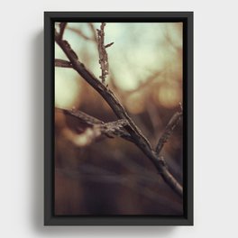 BRANCHING OUT Framed Canvas