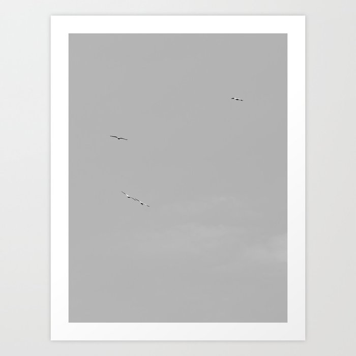 Birds in the sky Art Print