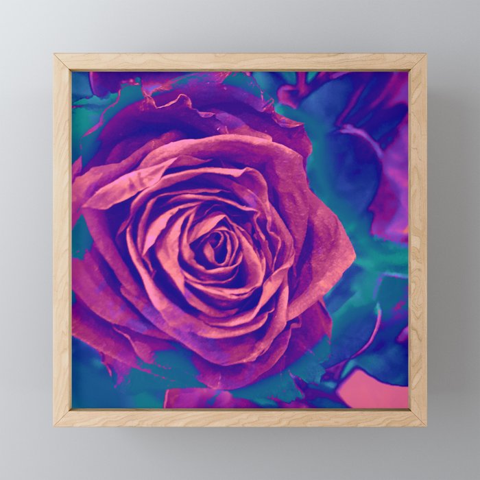 Vibrant Rose Framed Mini Art Print