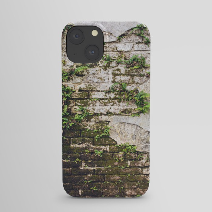 Organic Textures x New Orleans Photography iPhone Case