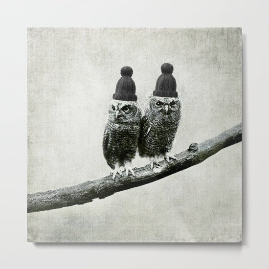 Owls Metal Print