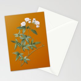 Vintage Lady Banks Rose Botanical Illustration on Bright Orange Stationery Card