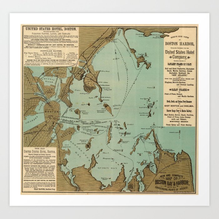 Vintage Map of Boston Harbor (1884) Art Print