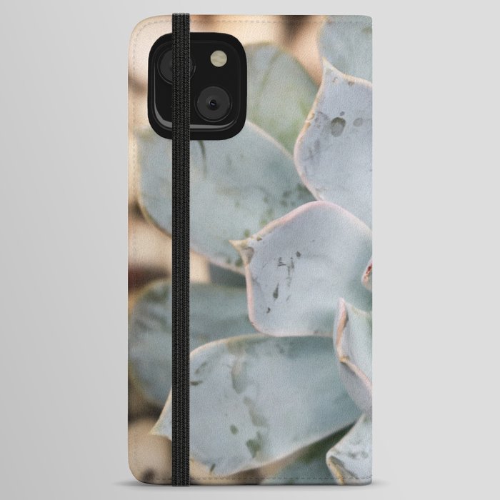 Mexico Photography - The Echeveria Lilacina Plant iPhone Wallet Case