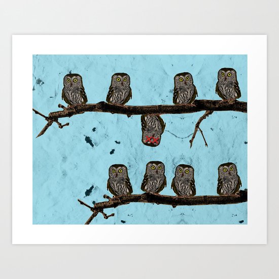 Perched Owls Print Art Print