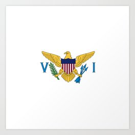 Flag of United States Virgin Island Art Print