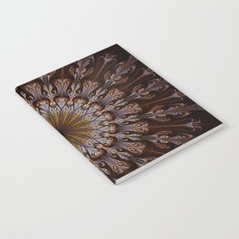 symmetry-1 Notebook