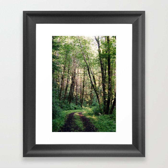 Walk In The Woods Framed Art Print
