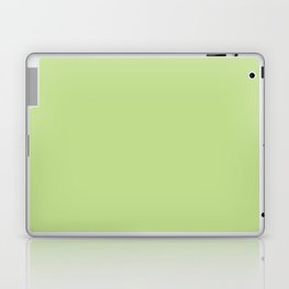 Marsh Fern Green Laptop Skin