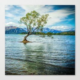 New Zealand Photography - Tree Surrounded By Water In Lake Wānaka Canvas Print
