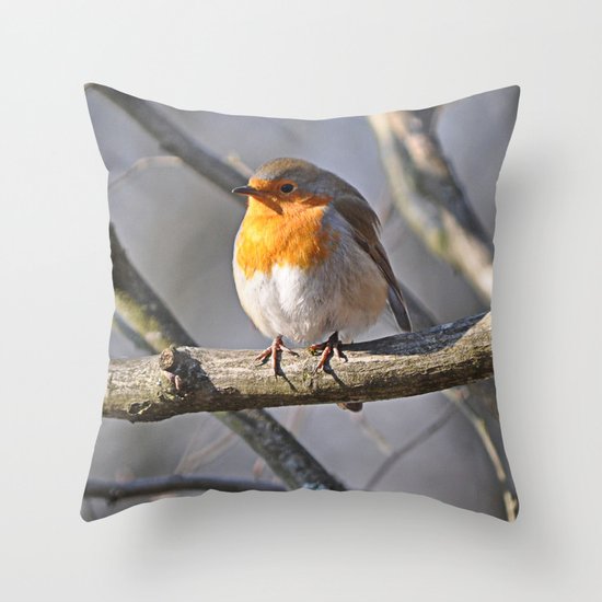 Robin Redbreast Throw Pillow