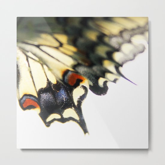 Butterfly Wing Metal Print