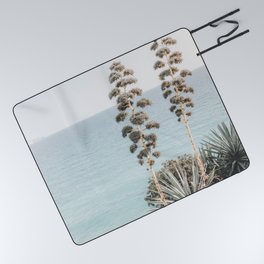 Tropical Plants At The Beach | Nature Photography | Cactus Plants And Blue Sea Picnic Blanket
