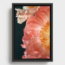 Coral Charm #2 Framed Canvas