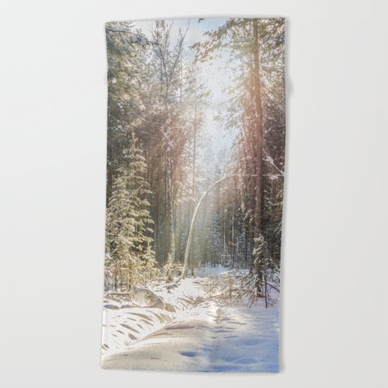 Sunny winter day Beach Towel