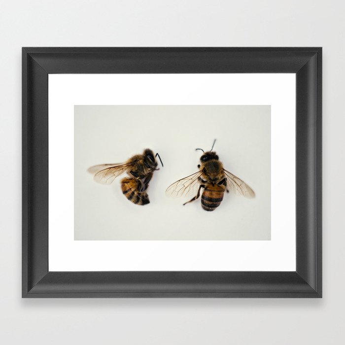 Buzz Framed Art Print