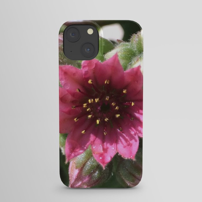 Blooming Succulent iPhone Case