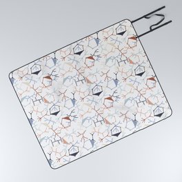 Chaotic Particle Physics on White Picnic Blanket