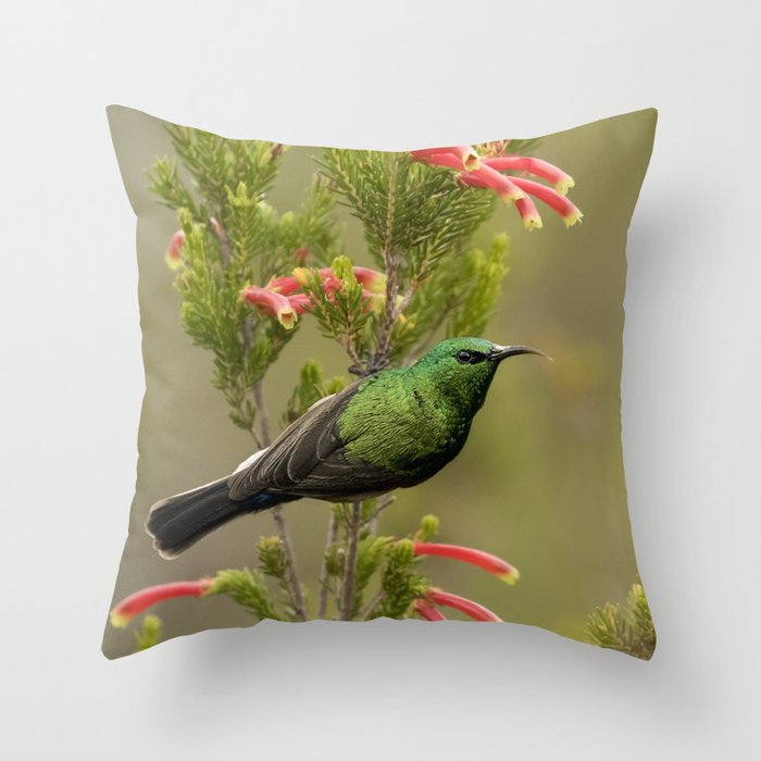 Double-Collared Delight Throw Pillow