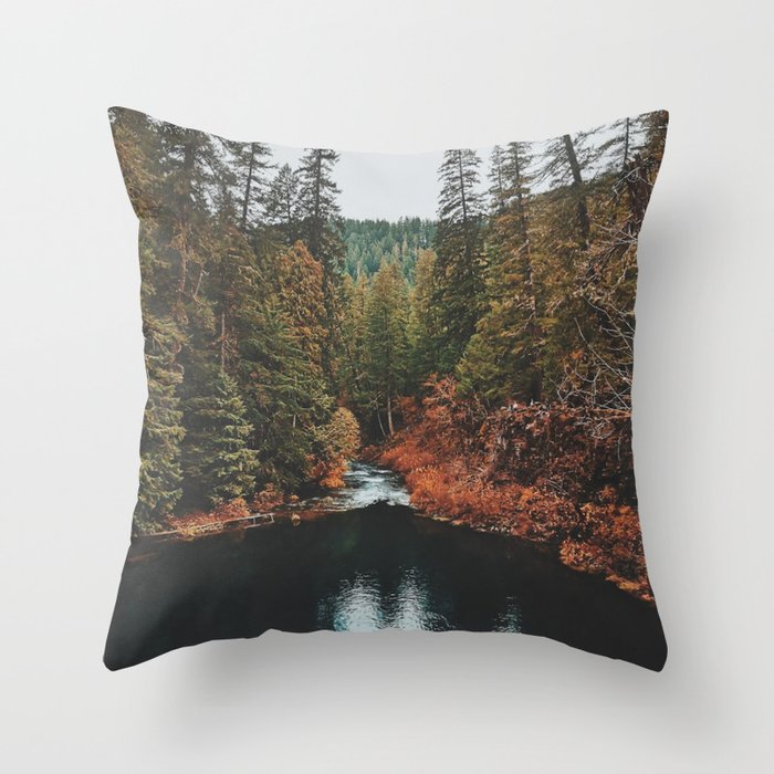 Throw Pillow
