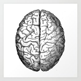Второе полушарие мозга. Два полушария мозга. Функциональная асимметрия мозга. Функциональная асимметрия полушарий мозга. Функциональная асимметрия полушарий у человека.