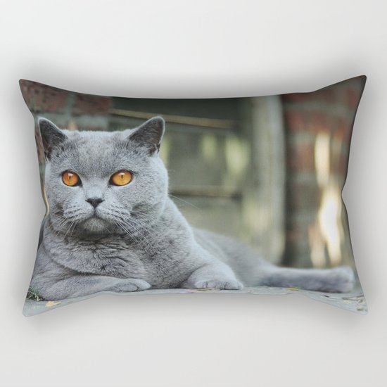 Diesel the cat ! Rectangular Pillow