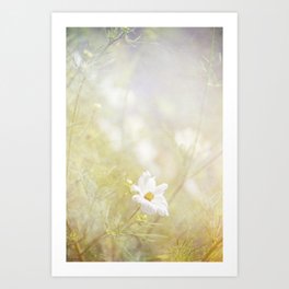 Summer Wildflowers - Fine Art Photography Art Print