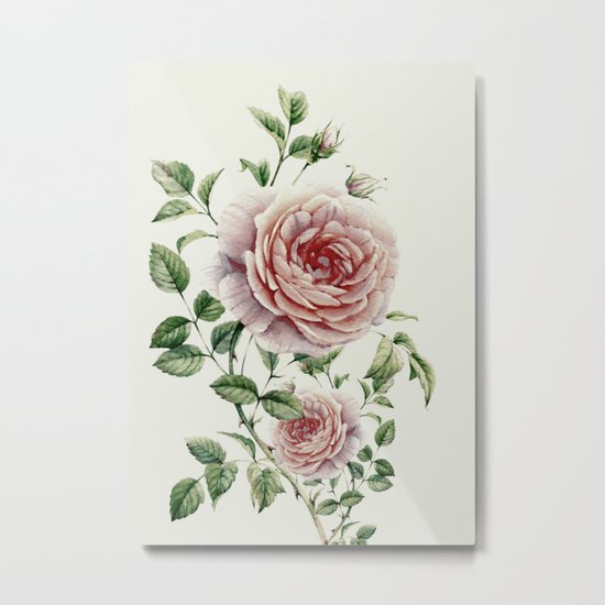 Beautiful Roses Metal Print